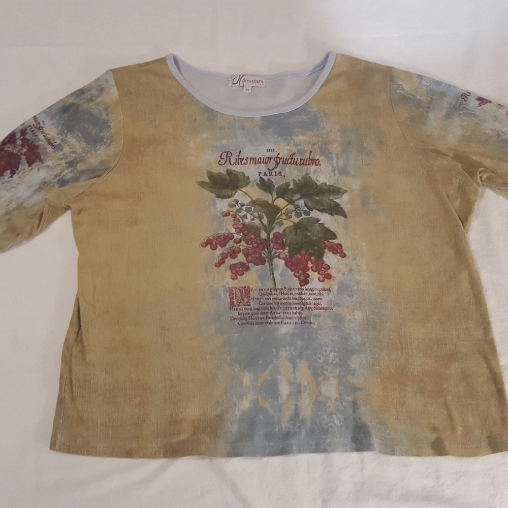 Dress Barn Woman's shirt